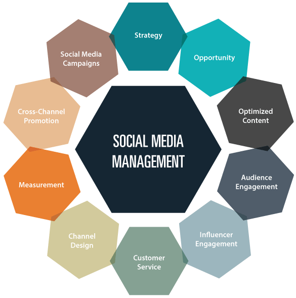 Best Social Media Account Management – Expert Social Media Marketing Agency in Ottawa